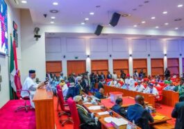 'We're Not Cutting Down Expenditure,' Senate Tells Nigerians | Daily Report Nigeria