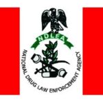 NDLEA Destroys 16 Hectares Cannabis Farm in Ekiti | Daily Report Nigeria