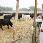 ‘Buhari Spends Four Days On Farm Every Week’ – Garba Shehu