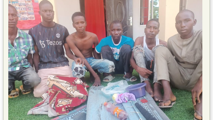 Police Arrest 6 Kidnappers in Adamawa