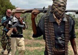 Bandits Attack Kaduna Community, Kill 5 | Daily Report Nigeria