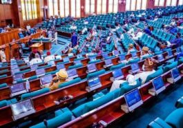 House of Representatives Confirms NDDC Board