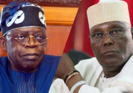 Tinubu's Academic Records Will Be Useless At Supreme Court — APC Lawyers | Daily Report Nigeria