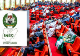 Senate Moves to Unbundle INEC, Implement Diaspora Voting