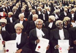 Benue Lawyers Increase Per Court Appearance Charge | Daily Report Nigeria