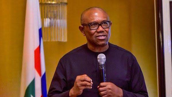 Peter Obi Advocates 5-Year Single Term For President | Daily Report Nigeria