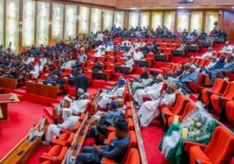 Senate Confirms 7 INEC RECs Appointed By Tinubu | Daily Report Nigeria