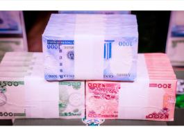 Naira Scarcity Returns After CBN's Enough Cash Promise | Daily Report Nigeria