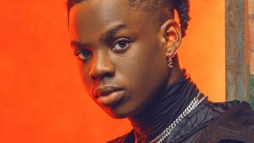 ‘Even if I Stop Singing Today, My Name Will Still Be in Afrobeats Hall of Fame’ – Rema | Daily Report Nigeria