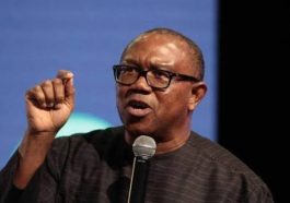 My Life Is Being Threatened – Peter Obi | Daily Report Nigeria