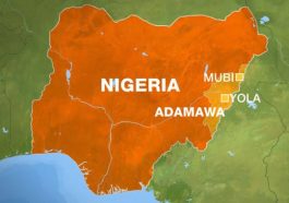 Suspected Ritualist Beheads Lady in Adamawa Hotel | Daily Report Nigeria