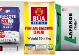 FG Summons Dangote, Bua, Others Over Rising Price of Cement