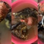 Nigerian lady shares mystery object she discovered inside a fish she purchased at the market (VIDEO) | Daily Report Nigeria