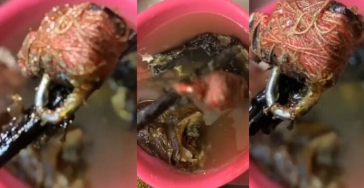 Nigerian lady shares mystery object she discovered inside a fish she purchased at the market (VIDEO) | Daily Report Nigeria