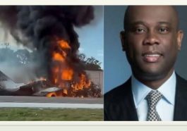 Herbert Wigwe: Several Lives Lost As Plane Crashes Again US | Daily Report Nigeria