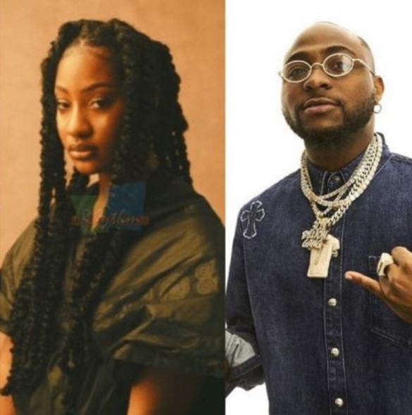 Nigerian Artists Shine at 2024 NAACP Image Awards: Davido, Tems, and Lojay Among Winners | Daily Report Nigeria