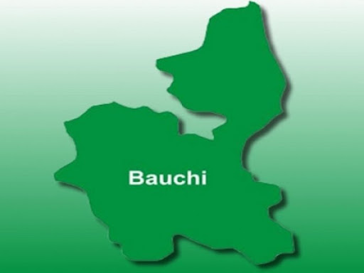 Tragic Stampede in Bauchi Leaves Seven Dead | Daily Report Nigeria