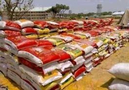 Hardship: NEDC Set to Distribute 300,000 Bags of Rice, Others as Palliatives | Daily Report Nigeria