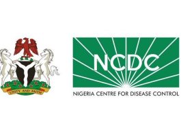 Unknown Disease Breaks Out in Nigerian State | Daily Report Nigeria