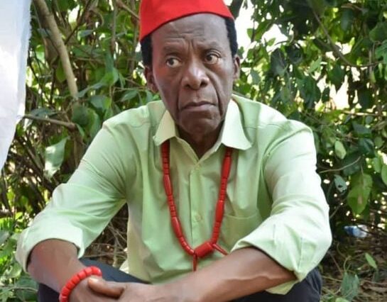 Nollywood Mourns As Zulu Adigwe Passes Away | Daily Report Nigeria