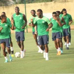 Super Eagles