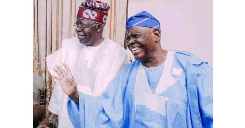 Tinubu appoints Akande, 559 others into tertiary institutions’ governing councils | Daily Report Nigeria