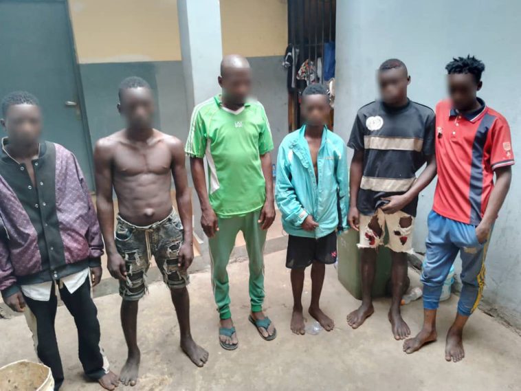 Police Arrest 6 'One Chance' Robbers, Recovers Exhibits | Daily Report Nigeria