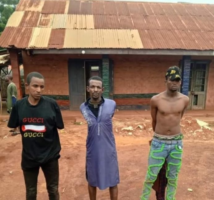 Police Arrest 3 Suspected Kidnappers, Rescue 9 Victims In Benue | Daily Report Nigeria