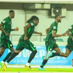 NFF to Hire Foreign Technical Adviser for Super Eagles, Apologizes for Recent Poor Performance | Daily Report Nigeria