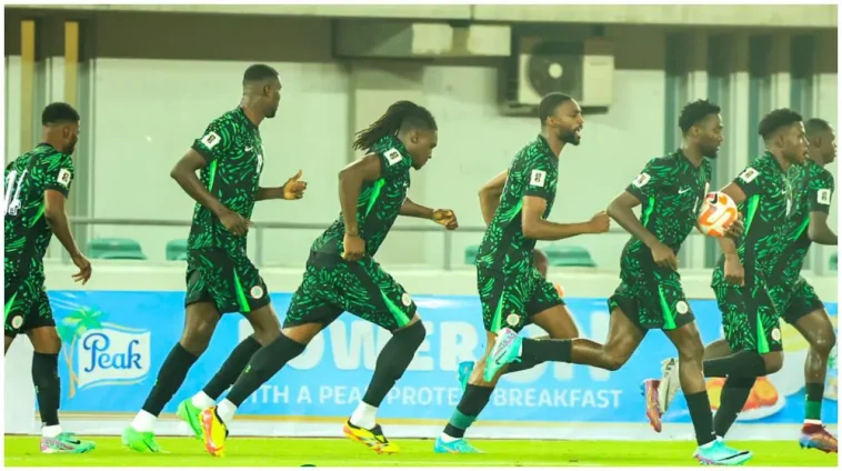 NFF to Hire Foreign Technical Adviser for Super Eagles, Apologizes for Recent Poor Performance | Daily Report Nigeria