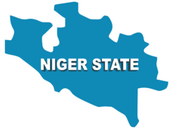 7 Rescued as Mining Site Collapses in Niger | Daily Report Nigeria