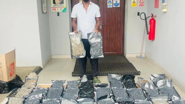 NDLEA Seizes Cocaine, Loud Consignments at Lagos Airport, Courier Firms | Daily Report Nigeria