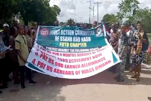 Non-Academic Staff Protest Rock Universities, Demand Unpaid Salaries | Daily Report Nigeria