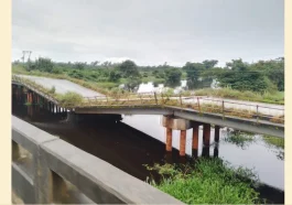 BREAKING: East-West Bridge Collapses In Delta | Daily Report Nigeria