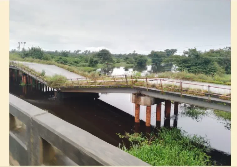 BREAKING: East-West Bridge Collapses In Delta | Daily Report Nigeria