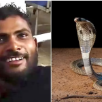 Man Bites Snake To Death, After It Bit Him While Sleeping | Daily Report Nigeria