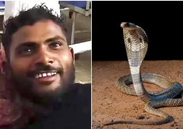 Man Bites Snake To Death, After It Bit Him While Sleeping | Daily Report Nigeria