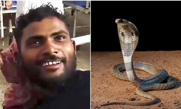 Man Bites Snake To Death, After It Bit Him While Sleeping | Daily Report Nigeria