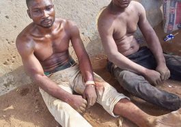 Troop Arrest Two Terrorist, Rescues 9-Year-Old Girl in Taraba | Daily Report Nigeria