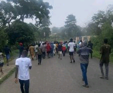 UI Students Protest Hike in Tuition Fee, Electricity Rationing | Daily Report Nigeria