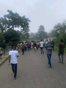 UI Students Protest Hike in Tuition Fee, Electricity Rationing | Daily Report Nigeria