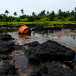 Fresh Oil Spill Hits Rivers Community, Destroys Farmlands | Daily Report Nigeria