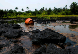 Fresh Oil Spill Hits Rivers Community, Destroys Farmlands | Daily Report Nigeria