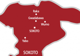 Bandits Kill 2, Abduct 20 In Sokoto | Daily Report Nigeria