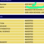 Confusion As Ogun Students' WASSCE Results Seized Over State’s Debt to WAEC | Daily Report Nigeria