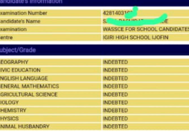 Confusion As Ogun Students' WASSCE Results Seized Over State’s Debt to WAEC | Daily Report Nigeria