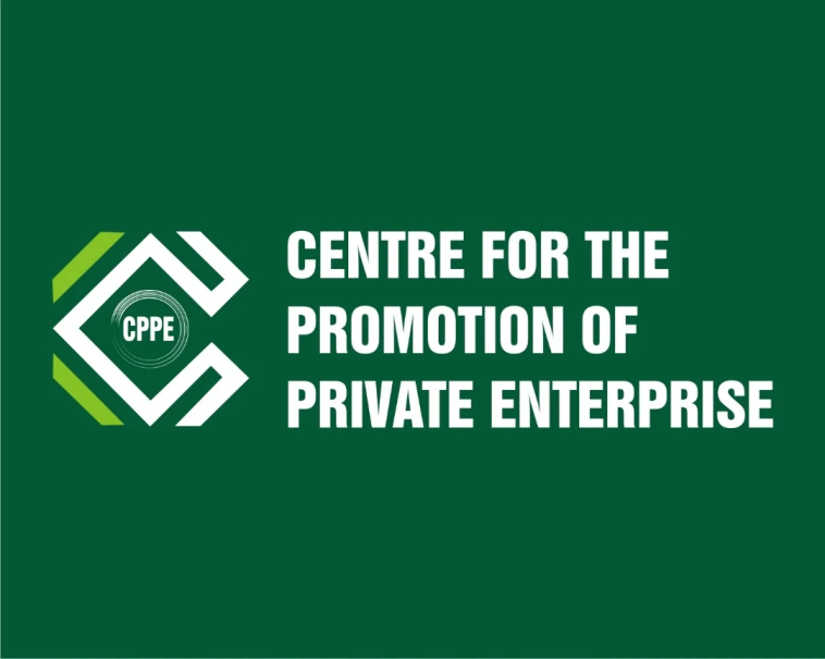 CPPE Urges FG to Fix Import Duty Exchange Rate at N1000/$ for 6 Months | Daily Report Nigeria