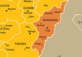 Adamawa Youth Campaign Team Calls for Recall of Reps Member | Daily Report Nigeria