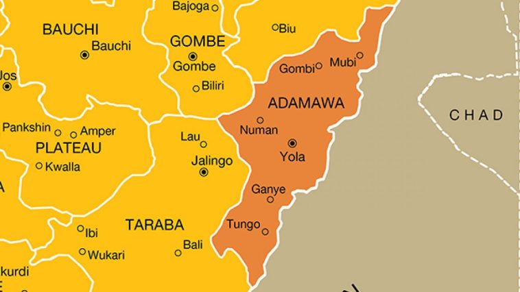 Adamawa Youth Campaign Team Calls for Recall of Reps Member | Daily Report Nigeria