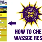 How to Check 2024 WASSCE Result (Step-by-step guide)